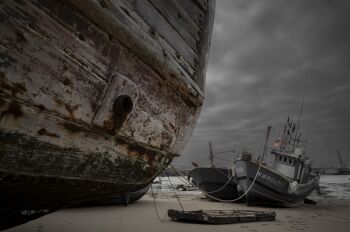 Anchored by Zhong Qin