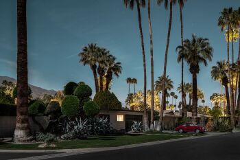 356 Palms - Midnight Modern by Onbekende Kunstenaar