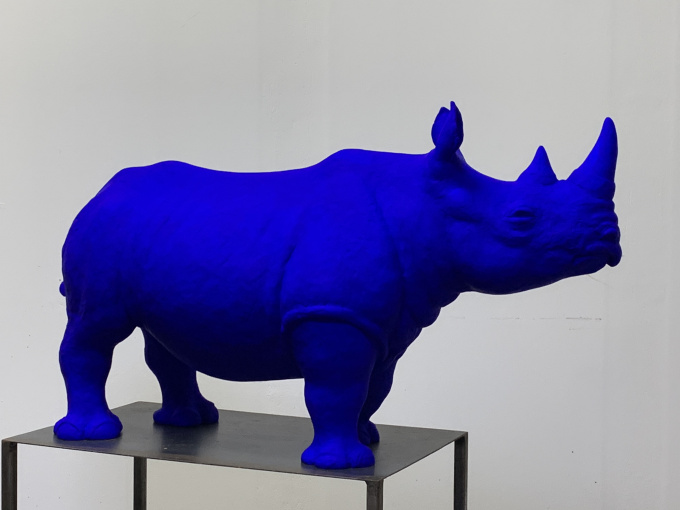 Puntlipneushoorn 2 by René Rikkelman