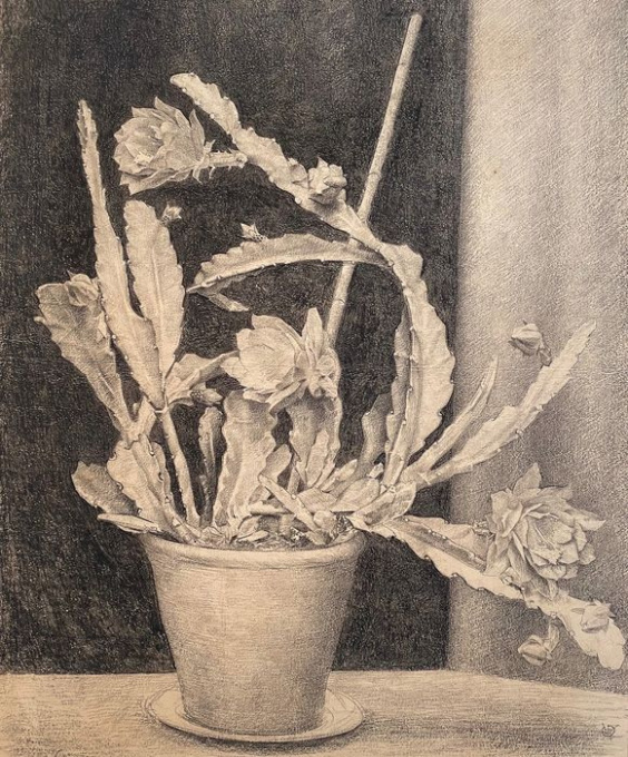 Stilleven met bloeiende cactus by Gerrit Willem Dijsselhof