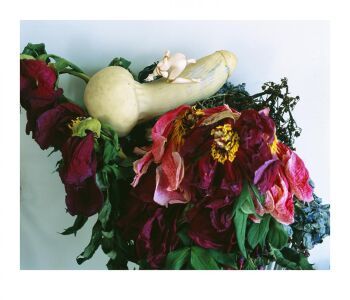 MONSTROUS PARADISE #149 by Nobuyoshi Araki (荒木経惟)