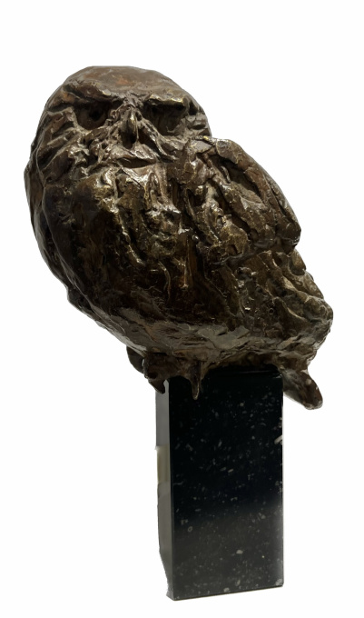 Steenuiltje  by Henri Poppelaars