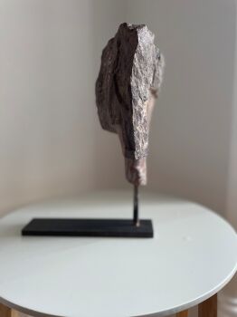 Head 1 by Martin James