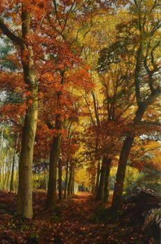 Een mooie herfstdag  by Walter Elst