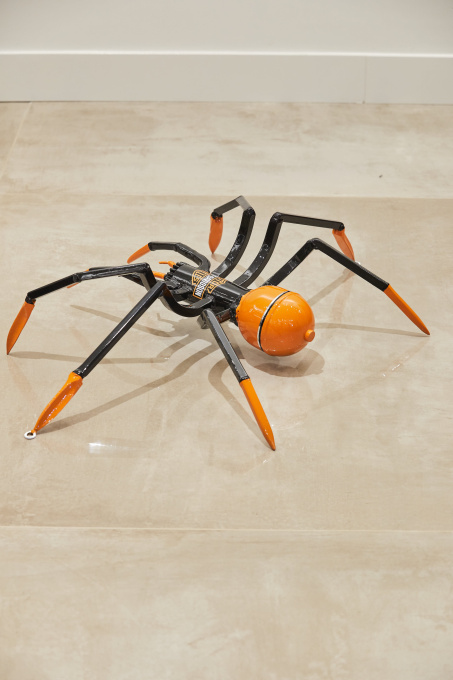 Motorcycle Spider by Remy Aillaud
