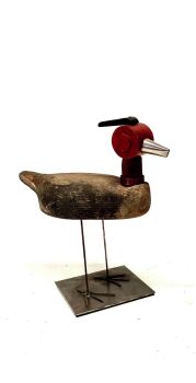 Pájaro de la Albufera by Miquel Aparici