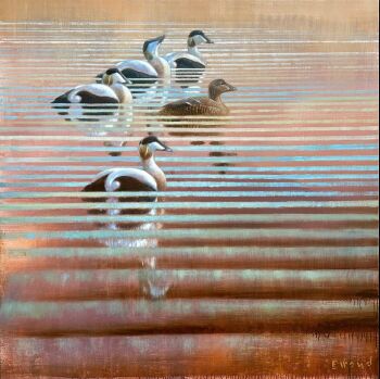 Baltsende Eiders I by Ewoud de Groot