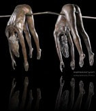 'La Barre Fixe' by Daphne Du Barry