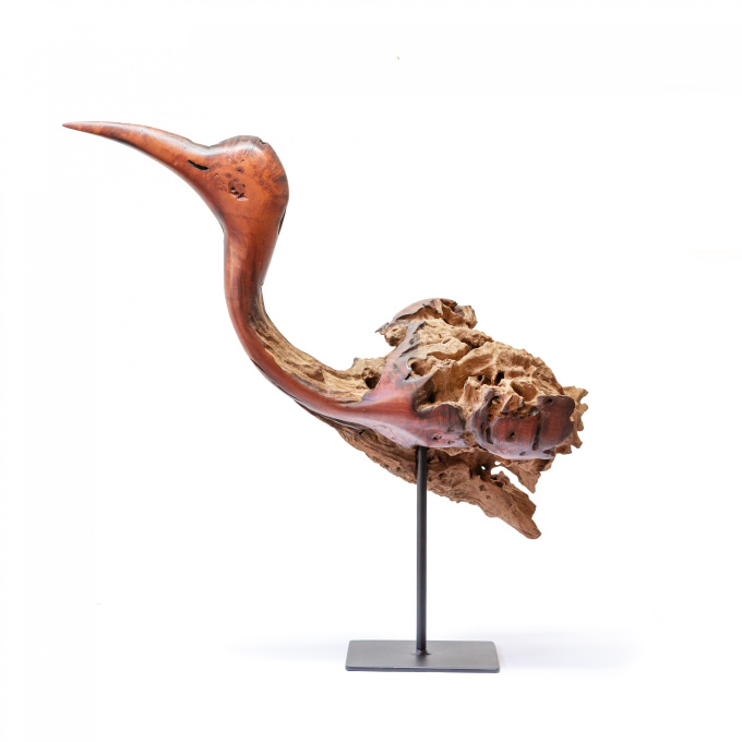 Bird by Boniface