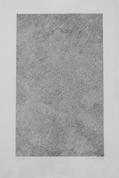 T74 -38 by Jan Schoonhoven