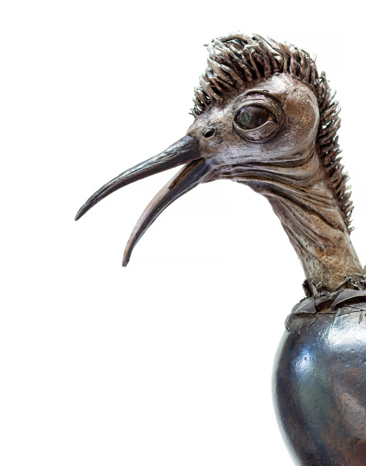 Young bird by Raymond Spier