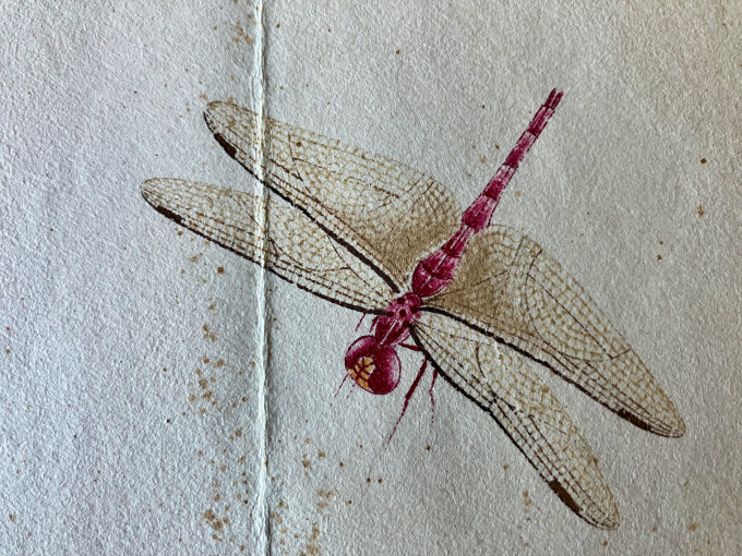 'Insects' by Qi Baishi