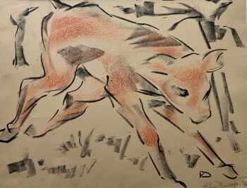 'Calf' by Douwe van der Zweep
