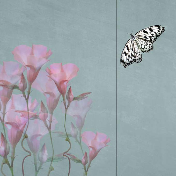 Almost – New Moments by Michaela Kindle