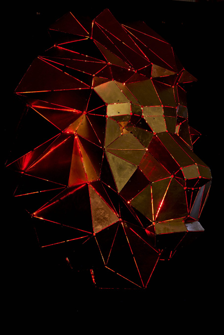 Lion´s Head by Phantom Art