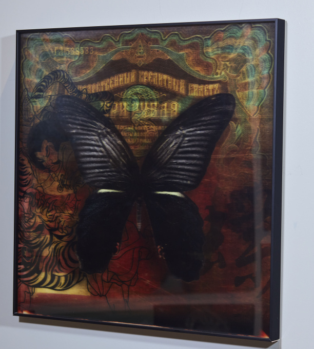 Papillon 5 by James Chiew