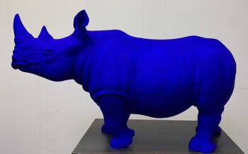 Puntlipneushoorn 2 by René Rikkelman