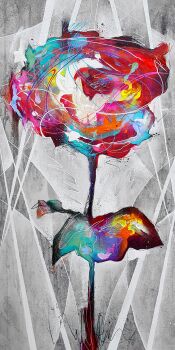 Rose by Danny O'Connor
