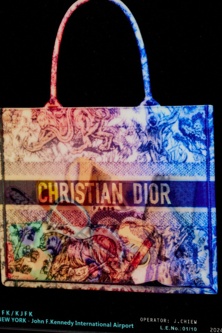 Dior Tote Toil - Sex Toys by James Chiew