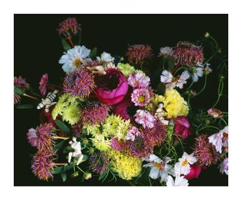 MONSTROUS PARADISE #053 by Nobuyoshi Araki (荒木経惟)