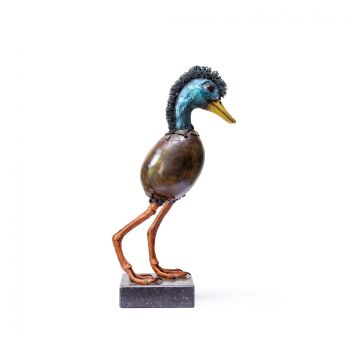 Young bird by Raymond Spier