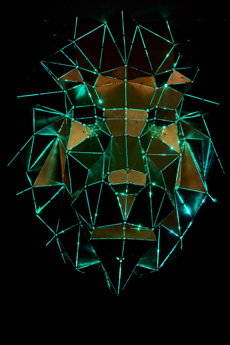Lion´s Head by Phantom Art