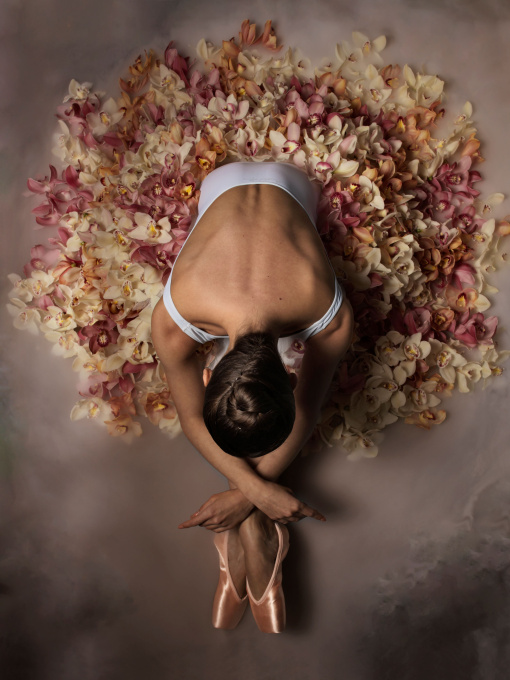 Orchid (Botanical Ballet) by Davide Heijmans