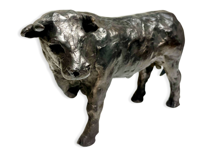 Stier by Natalie de Klijn
