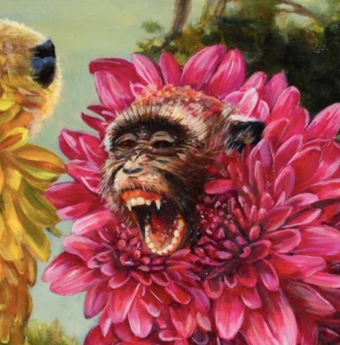 Lost with Monkeys by Augustina Droze