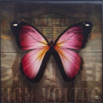 Papillon 3 by James Chiew