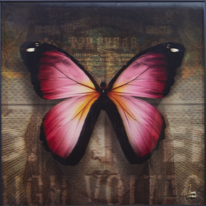 Papillon 3 by James Chiew