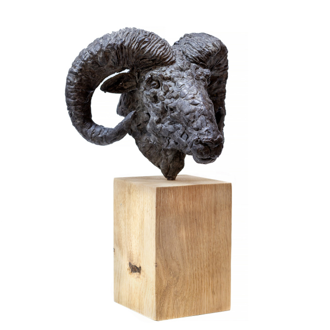 Ram head by Manon