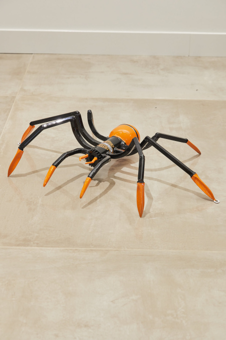 Motorcycle Spider by Remy Aillaud