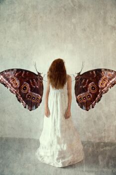 Give Them Wings – New Moments by Michaela Kindle