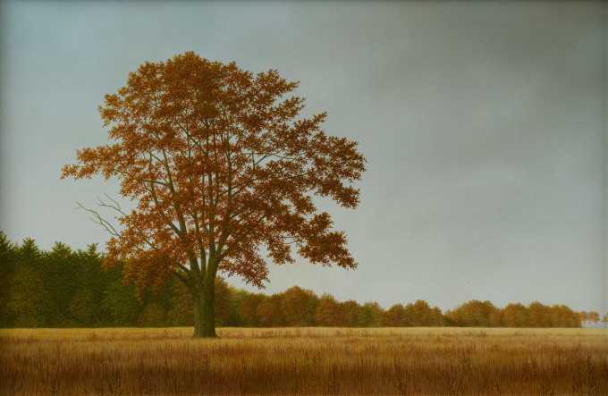 Solitair by Gerrie Wachtmeester