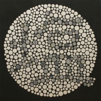 Color Vision test painting: Salty by Hiroomi Ito