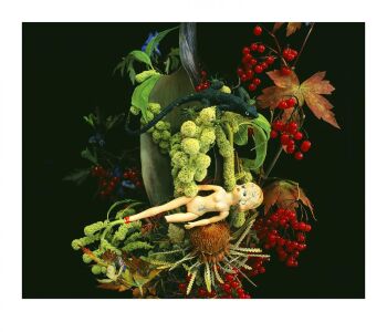 MONSTROUS PARADISE #110 by Nobuyoshi Araki (荒木経惟)