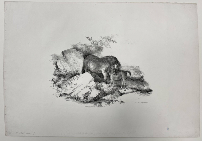 Voorblad Etudes de chevaux après nature/ Merrie met veulen by Théodore Géricault
