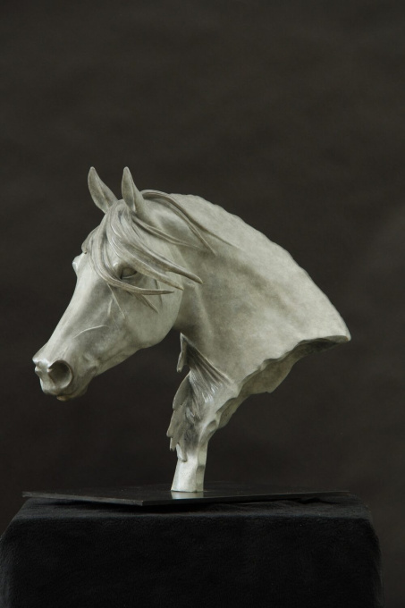 Storm by Gill Parker