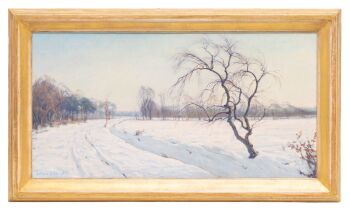 Winternamiddagzon by Johan Meijer