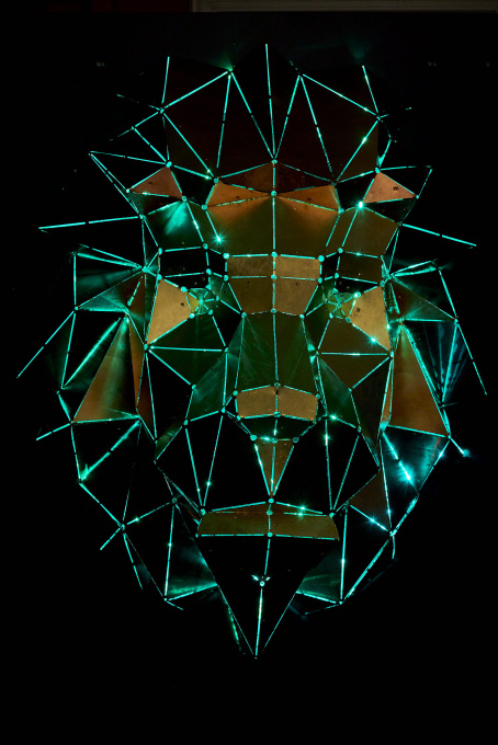 Lion´s Head by Phantom Art