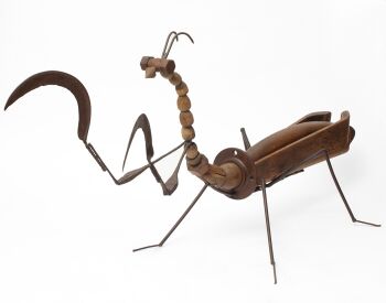 Mantis by Miquel Aparici