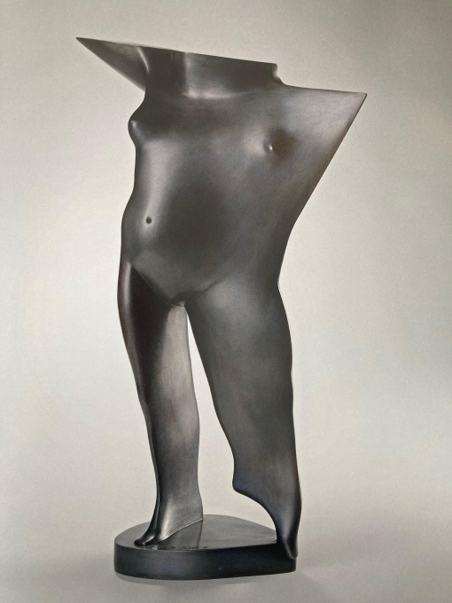 Torso Ten Voeten Uit by Kobe