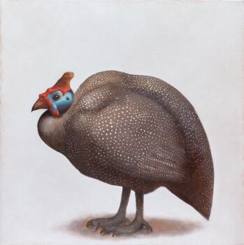 Guinea Fowl by Luuk Kolthof
