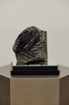 in Diamond we trust by Carla Cinciripi