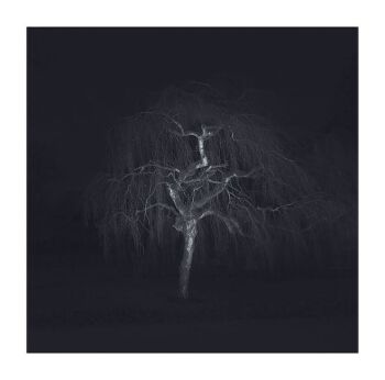 Winter #16 by Ralf Peters