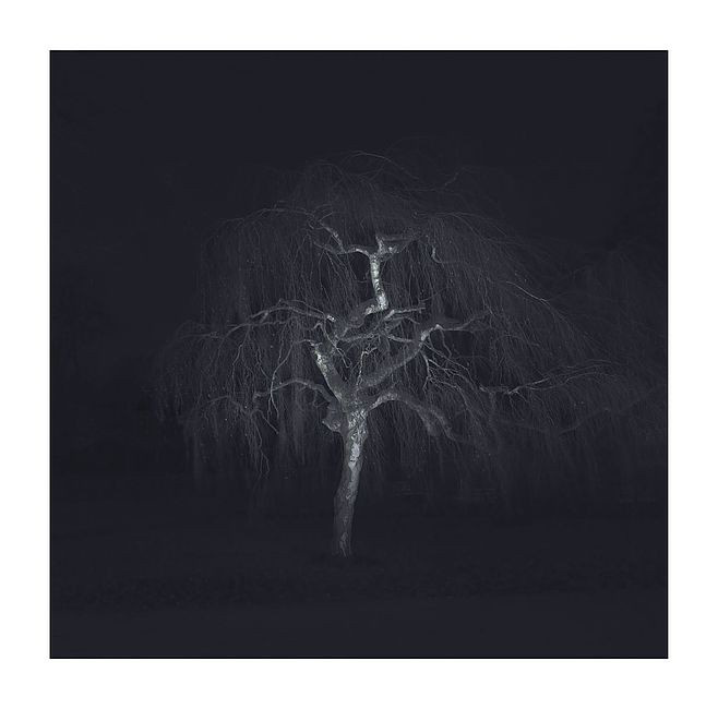 Winter #16 by Ralf Peters