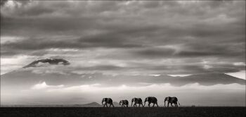 Beyond II by Joachim Schmeisser