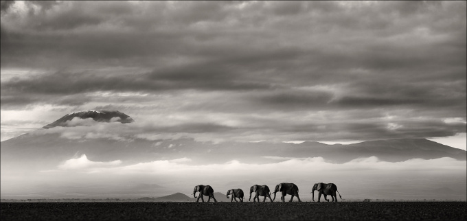 Beyond II by Joachim Schmeisser