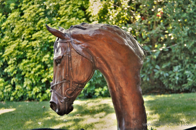 Frankel by Gill Parker